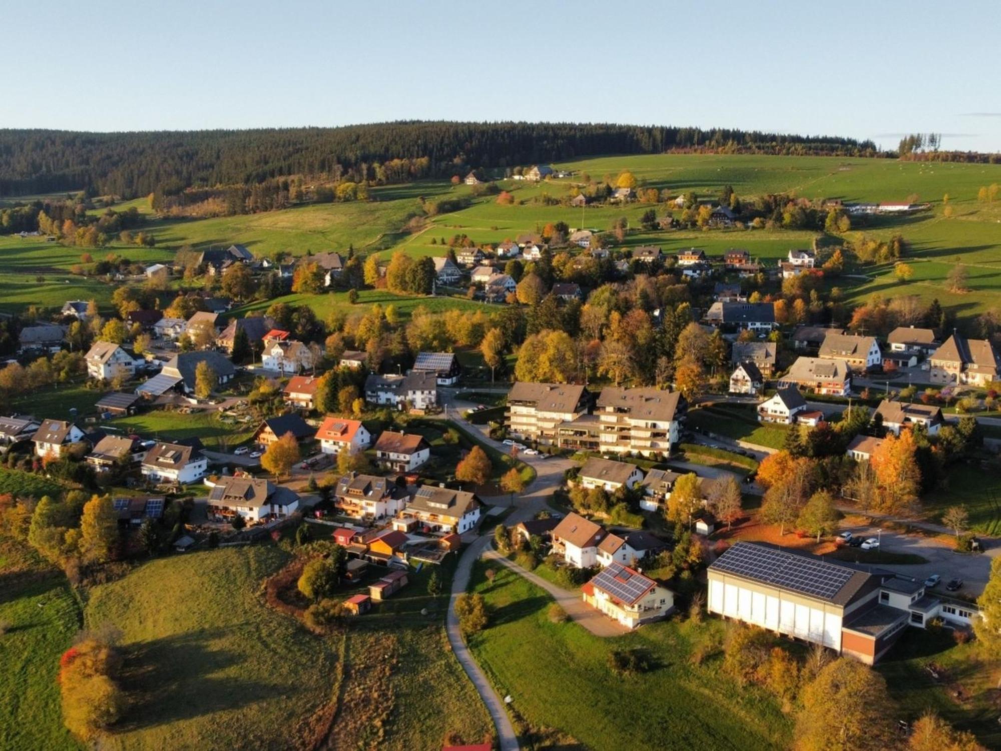 Ferienwohnung, 41 Qm Lenzkirch Extérieur photo